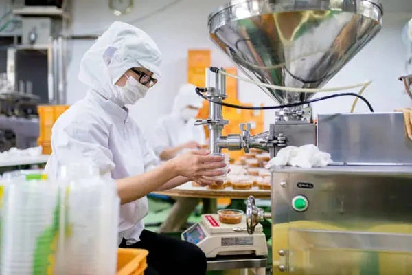 Food processing and catering industry